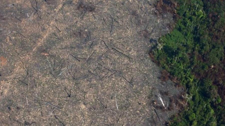 Em junho e agosto, o desmatamento da Amazônia cresceu 203% em relação ao mesmo período do ano passado, segundo o Inpe. - Reuters