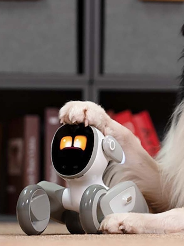 Lovot, robô fofo que até pede carinho, é lançado na CES 2020