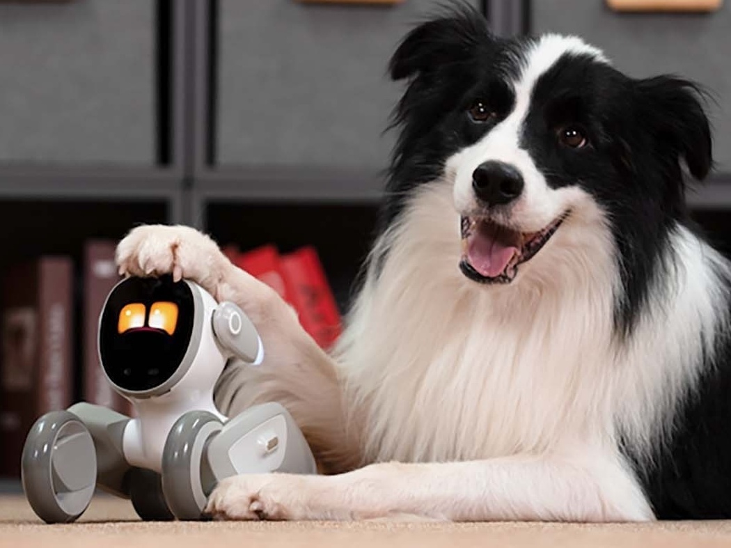 Lovot, robô fofo que até pede carinho, é lançado na CES 2020
