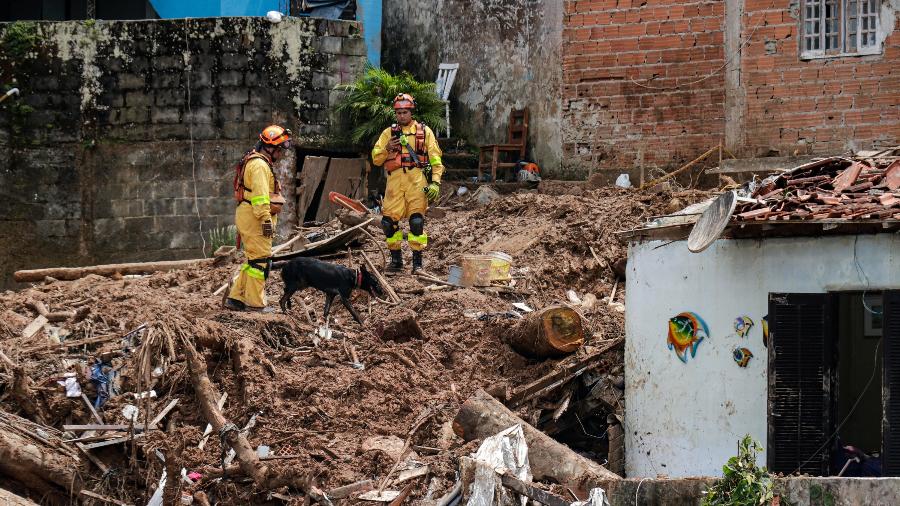 24.fev.2023 - Auxiliados por cães farejadores, bombeiros tentam localizar vítimas de deslizamento de terra na Barra do Sahy, em São Sebastião, no litoral norte de São Paulo, nesta sexta-feira.   - ALLISON SALES/FOTORUA/ESTADÃO CONTEÚDO