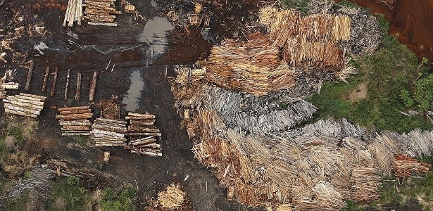 Madeira extraída ilegalmente são vistas perto de Rio Pardo, município de Porto Velho, em Rondônia - Nacho Doce/Reuters