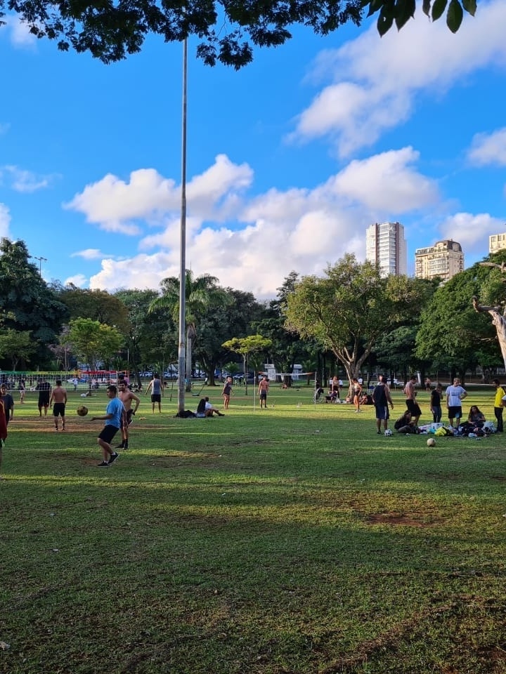 São Caetano do Sul é a cidade mais desenvolvida e sustentável do Brasil -  Portal São Caetano do Sul NET