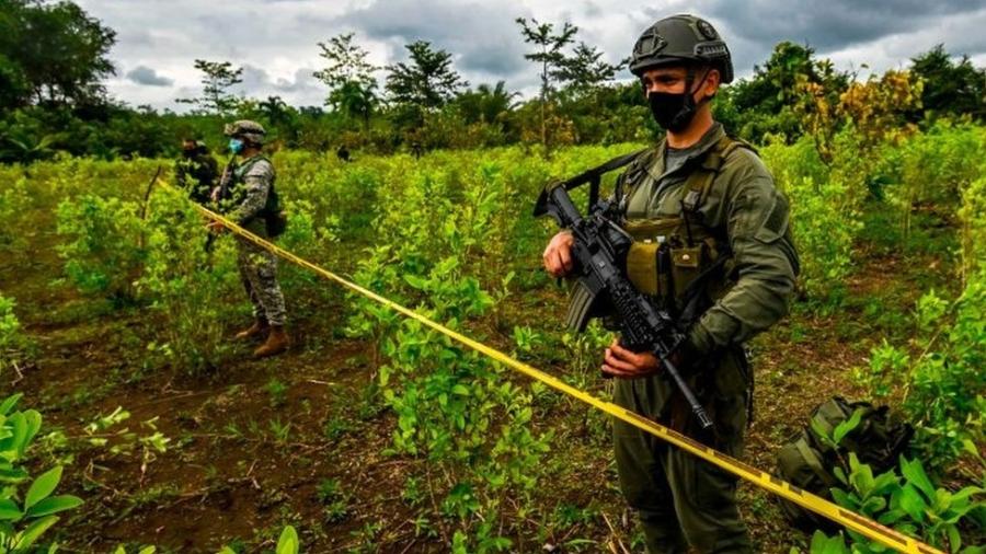 Nunca na história da Colômbia tanta cocaína foi produzida de forma tão eficiente e com menos violência - Getty Images