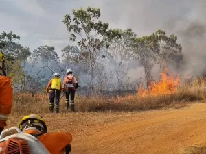 Polícia do DF anuncia força-tarefa contra incêndios com indícios de crime