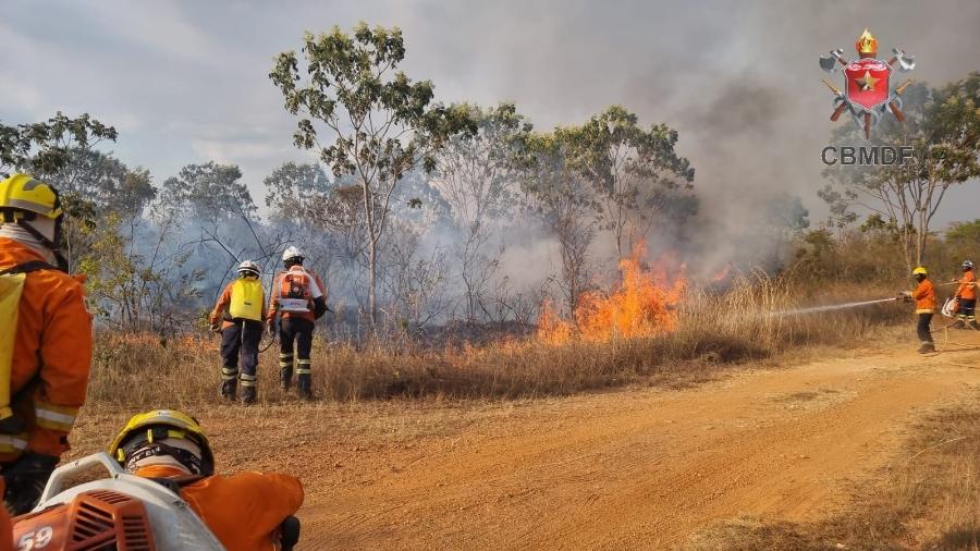 Militares do CBMDF tentam controlar foco de incêndio no Parque Nacional de Brasília  - CBMDF/16.set.2024-Divulgação