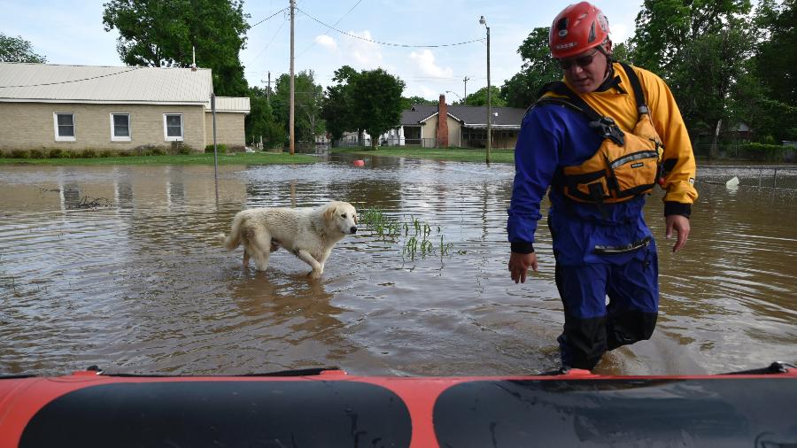 Bombeiro voluntário resgata Charlie, o cachorro vira-latas mais querido de Webbers Falls, em Oklahoma - Nick Oxford/The New York Times