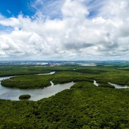 A Floresta Amazônica é questão central no debate ecológico internacional - GETTY IMAGES