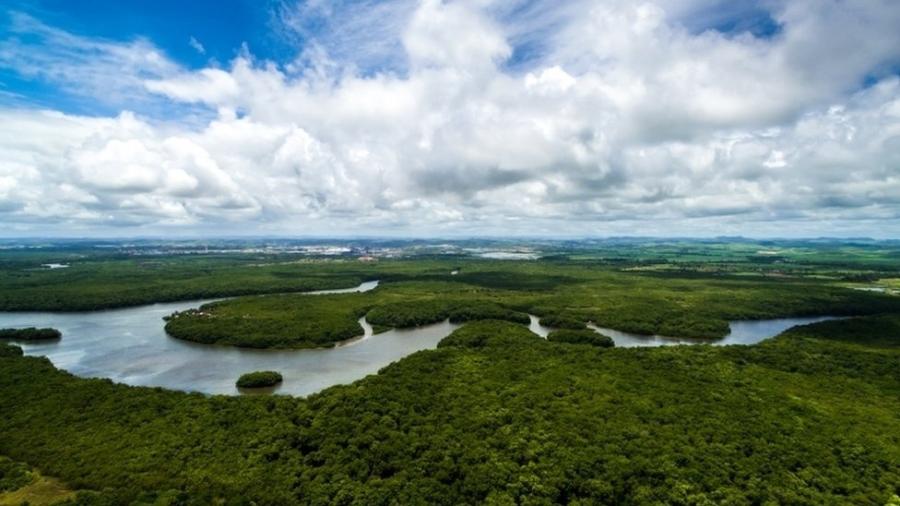 Governo Bolsonaro decidiu levar adiante projeto de nova estrada em regiões preservadas da Floresta Amazônica - Getty Images