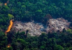 Desmatamento: as imagens de satélite que apontam ligação entre grandes frigoríficos e derrubada de florestas na Amazônia - Getty Images