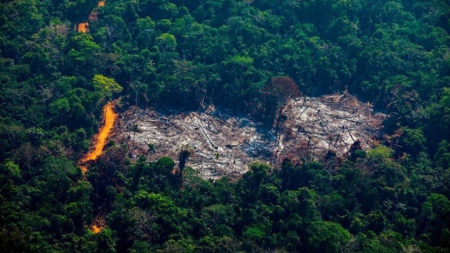 Área desmatada dentro da Terra Indígena Menkragnoti, no Pará; Estado foi responsável por 46,8% do desmatamento no país no último ano - Getty Images