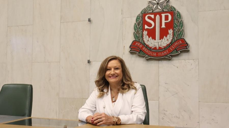Maria Lúcia Amary, presidente do Conselho de Ética que deu o voto de minerva a favor da abertura do processo contra Isa Penna - Arquivo pessoal
