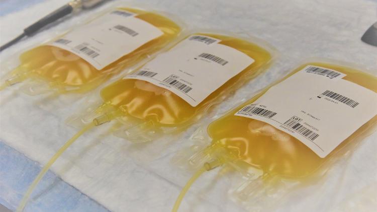 De um litro de plasma brasileiro extrai-se cerca de 4,5 gramas de imunoglobulina, medicamento que pode salvar vidas