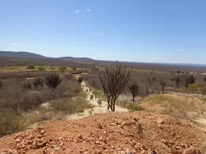 O que é o B-R-Ó BRÓ, fenômeno que castiga o Nordeste com calorão impiedoso 