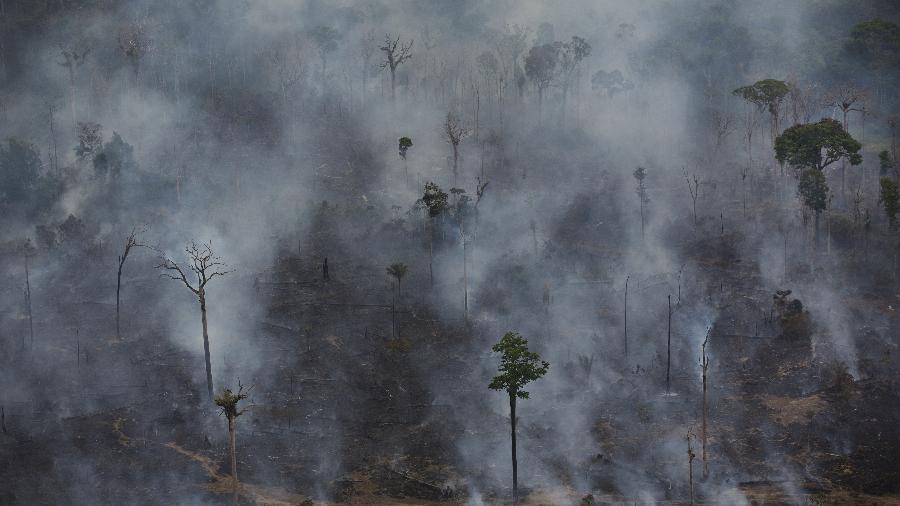 Região norte do pais vem sofrendo com queimadas como o registrado em fazenda no Pará (foto) - Lalo de Almeida/Folhapress