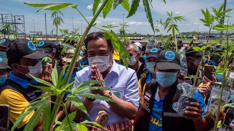 Health Minister Anutin Charnvirakul became one of the law's strongest advocates - BBC - BBC