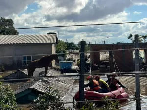 'Parecia Copa do Mundo', diz voluntário que resgatou cavalo Caramelo no RS