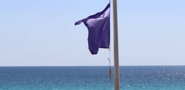 Bandeira roxa na praia: saiba o que significa e quais cuidados tomar