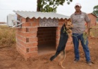 Para evitar calor, dono instala ar-condicionado em casinha da cadela no TO - Guaraí Notícias