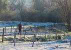 Cidade de SC registra menor temperatura do país, com -7,4º C; RS tem relatos de neve - FABIAN RIBEIRO/AGÊNCIA FREE LANCER/ESTADÃO CONTEÚDO