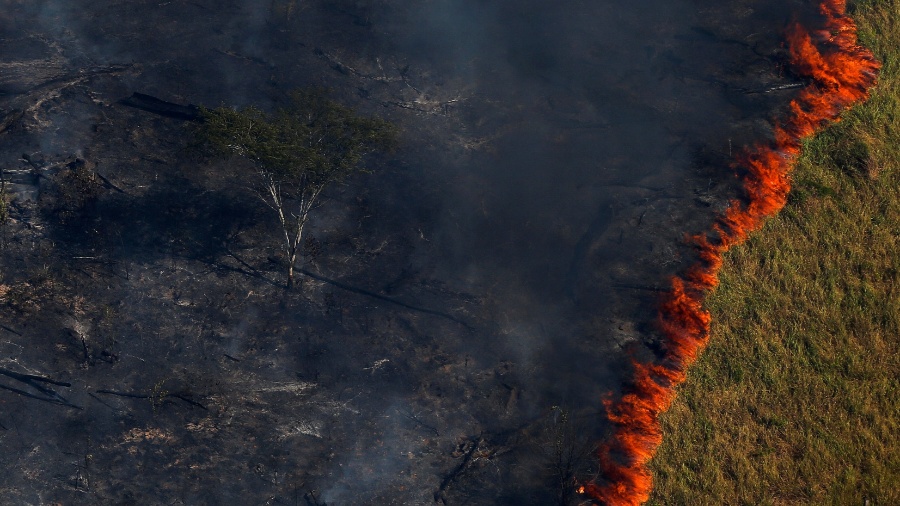 Fogo avança sobre floresta amazônica na região de Apuí, na fronteira de Amazonas com Rondônia - Bruno Kelly/Reuters