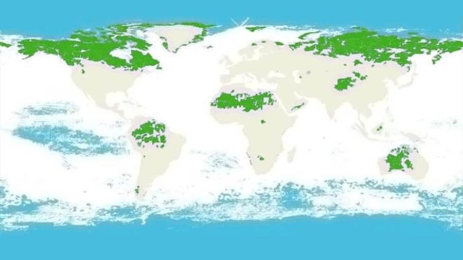 Austrália, Brasil, Canadá, EUA e Rússia são os cinco países que abrigam a maior área de natureza intacta no mundo - BBC