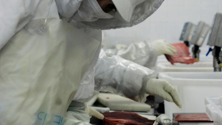 Brasil estabeleceu embargo voluntário após descoberta de casos atípicos de "mal da vaca louca" - Paulo Whitaker