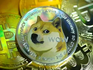 Dogecoin: morre cadela Kabosu que inspirou meme e 'criptomoeda de Musk'