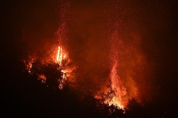 Fogo queima a vegetação na Reserva Biológica do Tinguá, em Nova Iguaçu, no Rio de Janeiro, em 13 de setembro