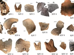 Cientistas descobrem espécie humana extinta há 50 mil anos na China