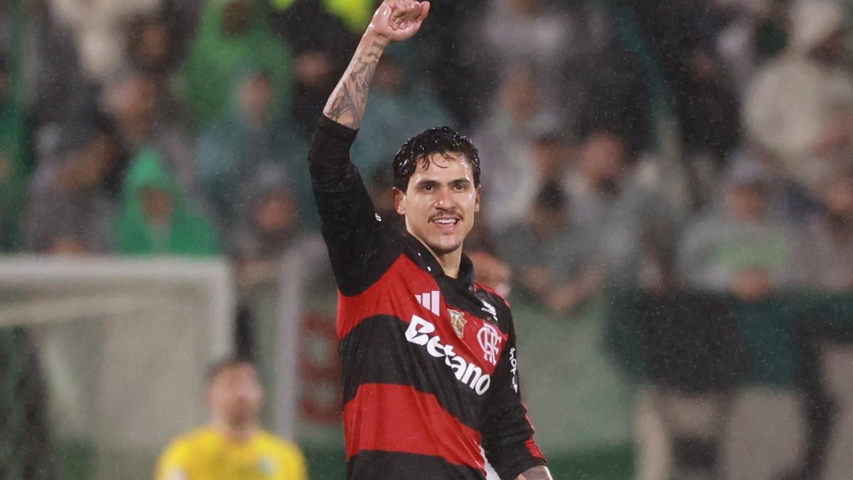 Flamengo canta na chuva em Chapecó