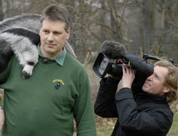 Tamanduá brinca durante bastidor de reality show filmado no zoológico de Berlim - Andreas Lander/Divulgação