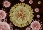 Biologia: cientistas descobrem 1.445 novos vírus em seres invertebrados - iStock