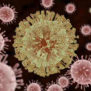 Ilustração do vírus da zika - iStock