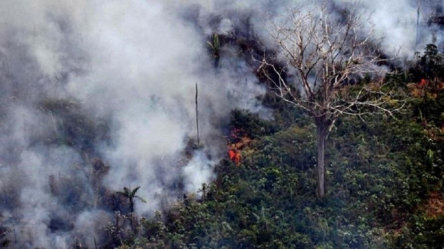 Incêndio na floresta amazônica, a 65 km de Porto Velho, em Rondônia, no norte do Brasil - Carl de Souza/AFP