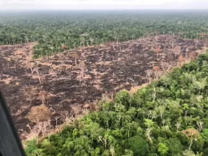 Brasil precisa cortar emissões em 92% até 2035, diz Observatório do Clima