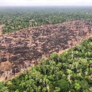 Brasil precisa cortar emissões em 92% até 2035, diz Observatório do Clima