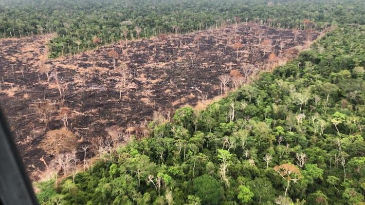 17.ago.2016 - Área de queimada e pasto em Rondônia, próxima à capital Porto Velho - Rogério Assis/Greenpeace