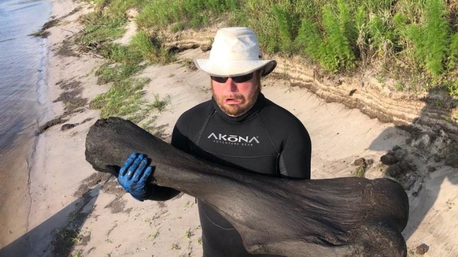 Homem encontra mandíbula de mamute em rio na Flórida