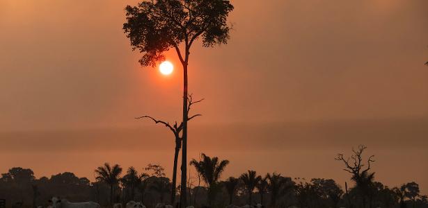 'Parte mais assustadora da mudança climática é o que não sabemos dela' - Vimarsana News