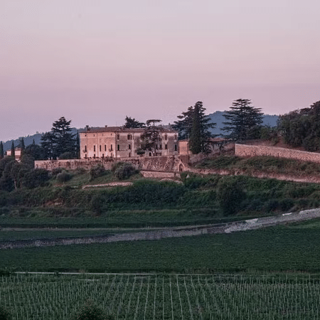 Fundada em 1385, a Marchesi Antinori é administrada pela família Antinori há 26 gerações