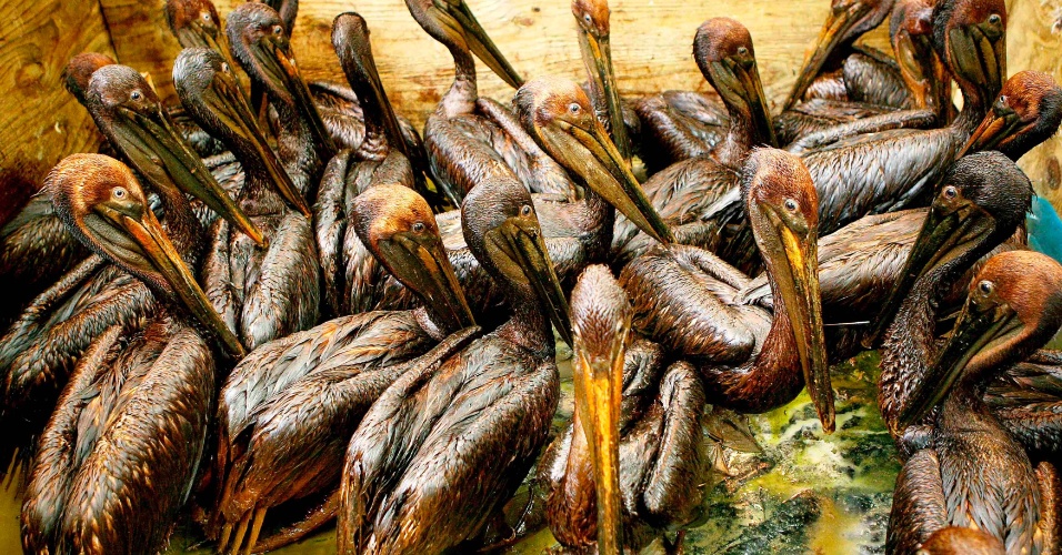 Sean Gardner/Reuters