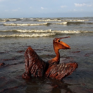 Win McNamee/Getty Images/AFP