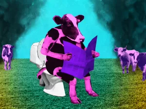 Já para o banheiro! Como seria se vacas e bois aprendessem a usar privadas?