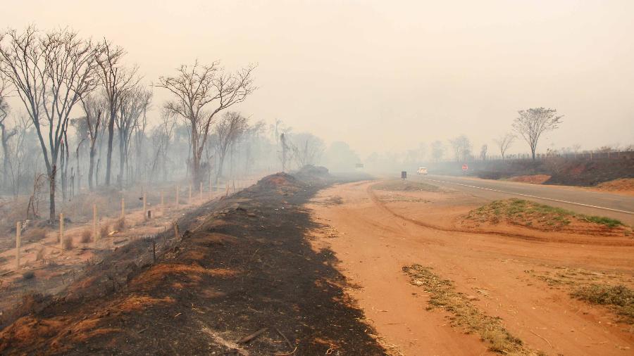 23.ago.2024 - Incêndio atinge área de vegetação em São Carlos e leva fumaça para a cidade e estradas da região