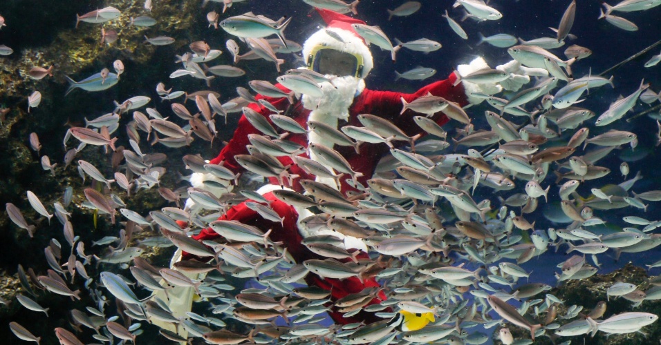 12.nov.2015 - Mergulhador alimenta peixes vestido como Papai Noel para celebrar o Natal, em aquário de Tóquio (Japão)