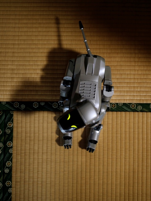 Kim Kyung-Hoon/Reuters