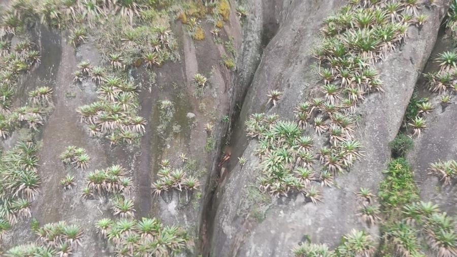 Homem é resgatado nu depois de cair em uma fenda de 63 metros de altura no ES - Divulgação/NOTAer
