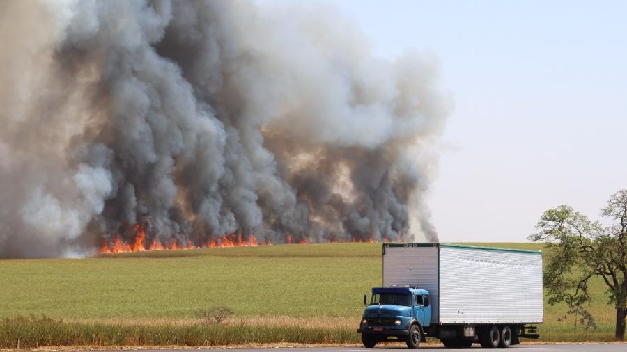 Fogo em canavial cria nuvem de fumaça às margens da Rodovia Anhanguera, próximo à cidade de Orlândia, no interior do estado de São Paulo, em 19 de agosto