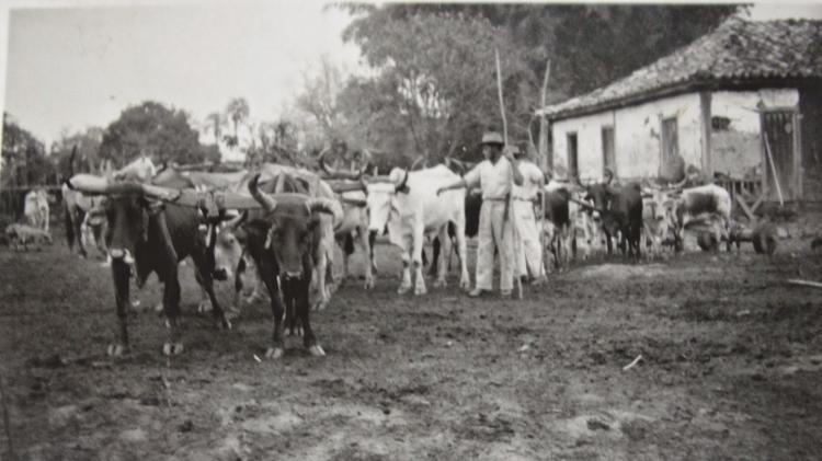 Fazenda Papuda