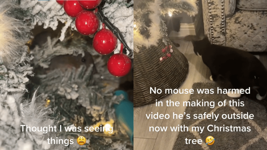 Mulher vê 'olhos' em árvore de Natal e fica horrorizada com surpresa